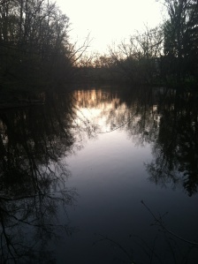 Red Cedar River Water Reflection